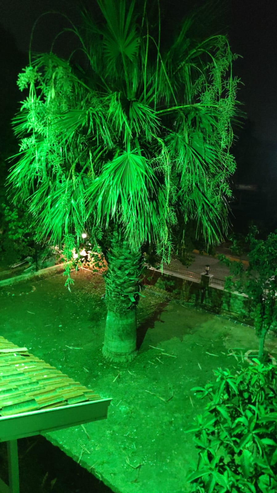 izmir yazlık villa